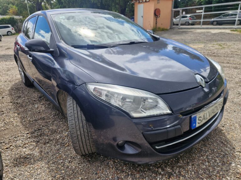 Renault Megane (2)