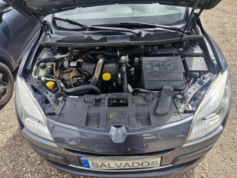 Renault Megane (7)