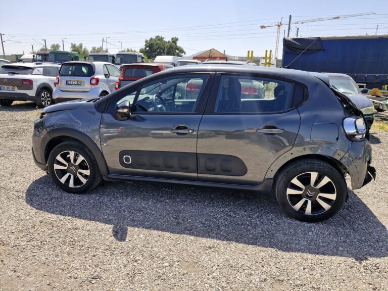 Citroen C3 (5)