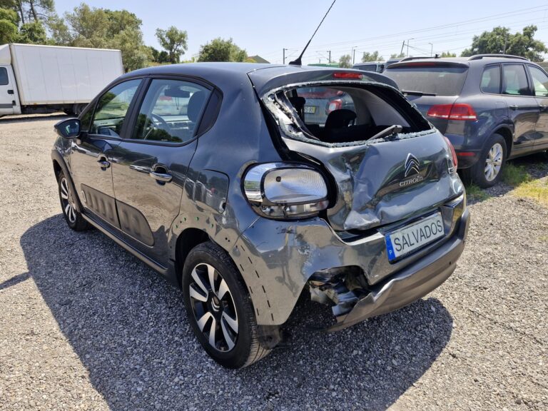 Citroen C3 (6)