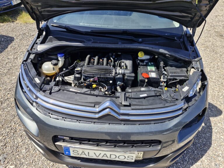 Citroen C3 (8)