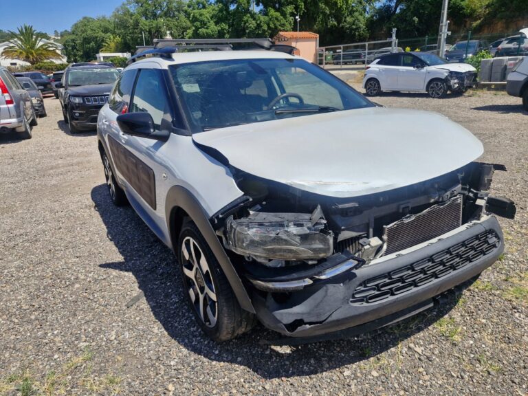 Citroën C4 Cactus (4)