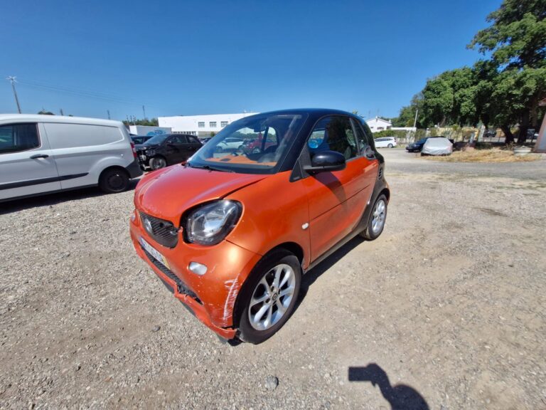 Smart (3)