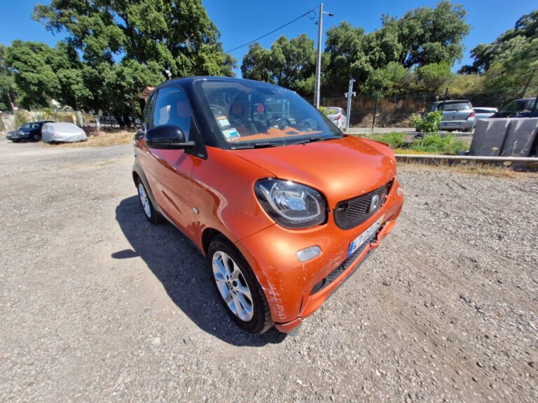 Smart (6)