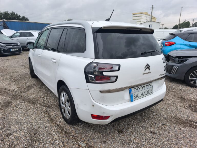 Citroën C4 SpaceTourer – 7 Lugares – 2019 (6)