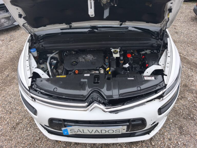 Citroën C4 SpaceTourer – 7 Lugares – 2019 (7)