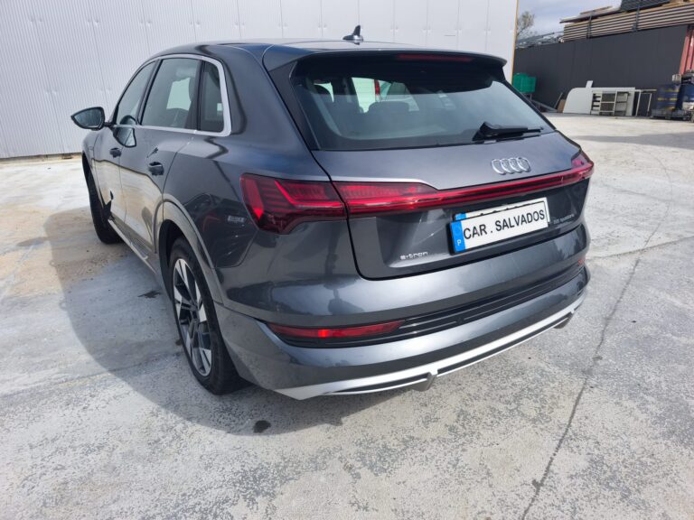 Audi e-tron 55 quattro (1)