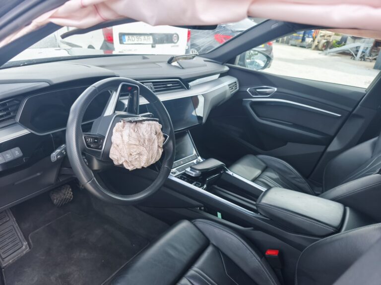 Audi e-tron 55 quattro (2)