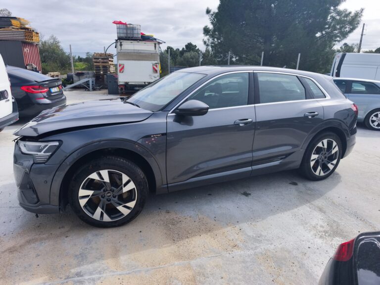 Audi e-tron 55 quattro (5)