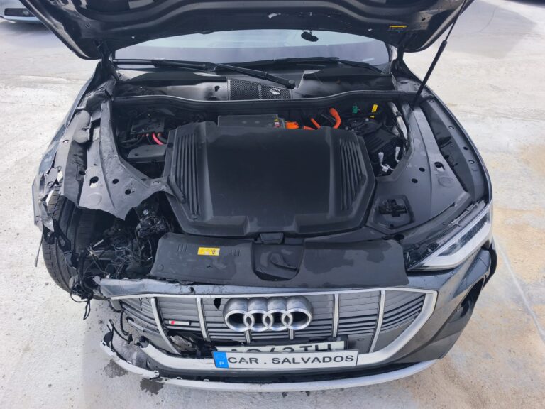 Audi e-tron 55 quattro (6)