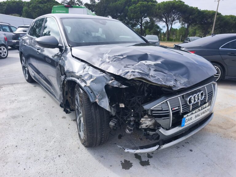 Audi e-tron 55 quattro (8)