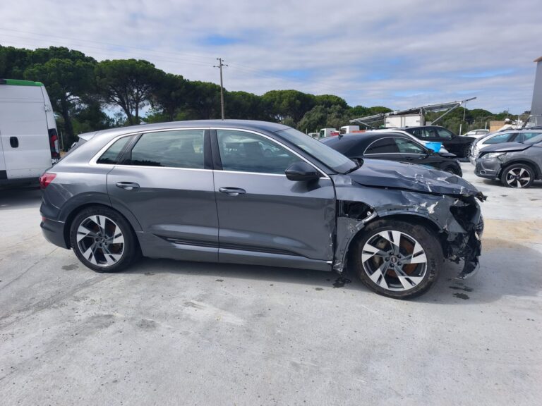 Audi e-tron 55 quattro (9)