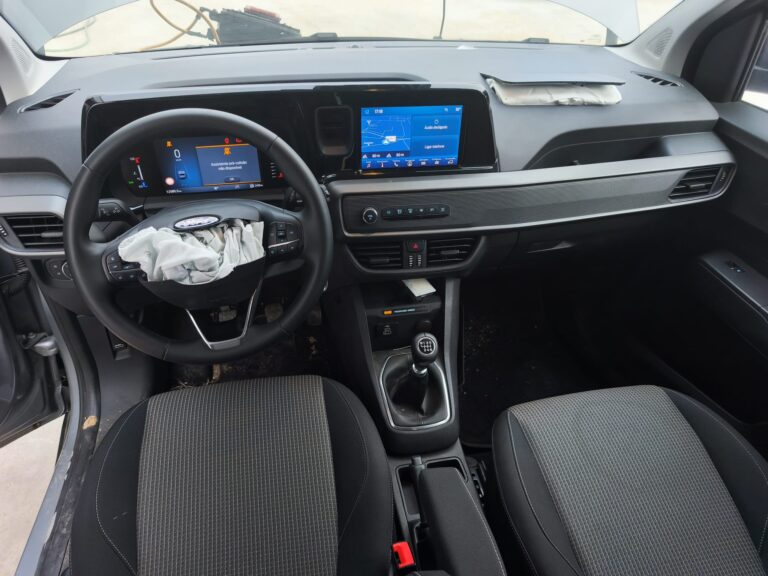 Ford Tourneo EcoBoost 2025 (1)