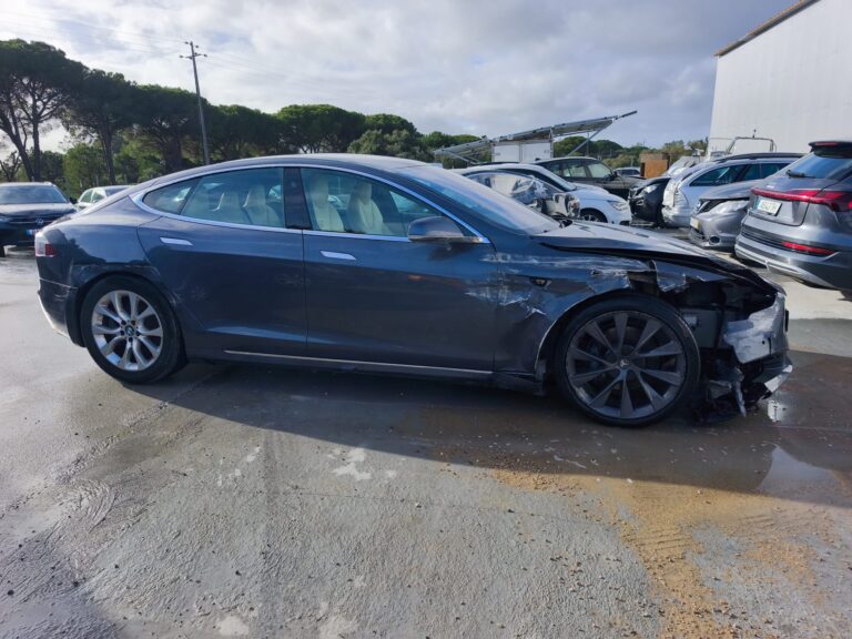 Tesla Model S 100D (2)