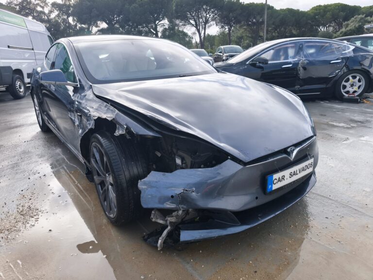 Tesla Model S 100D (3)