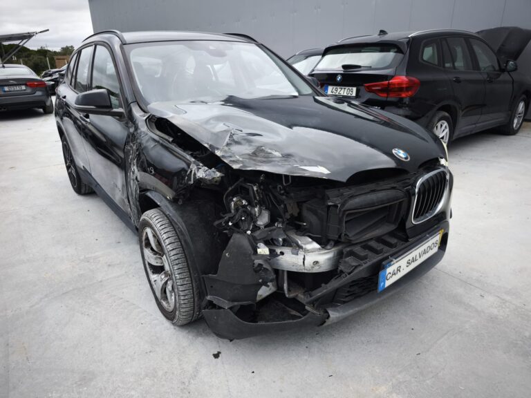 BMW X1 2.0 (5)