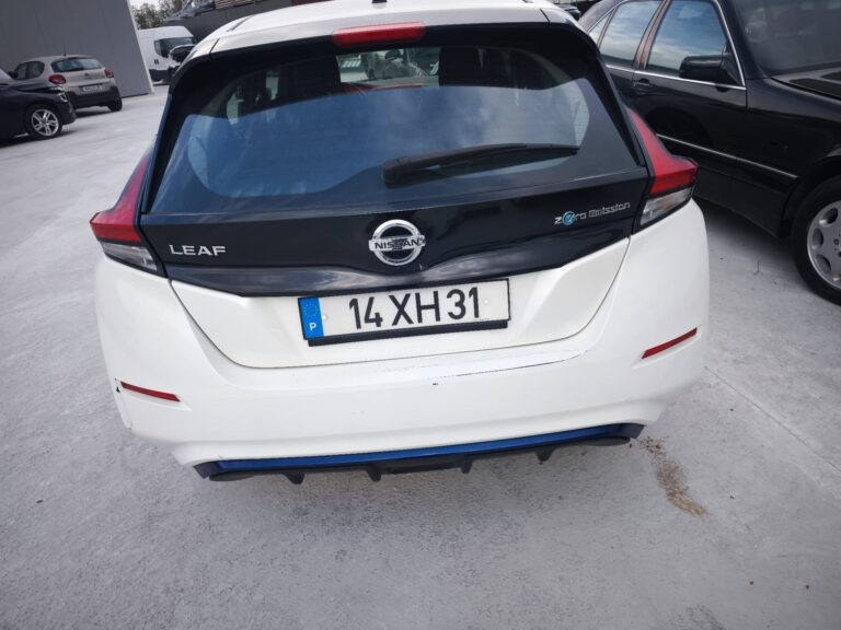 Nissan Leaf (1)