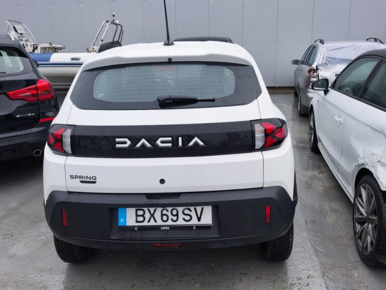 Dacia Spring Electric (1)