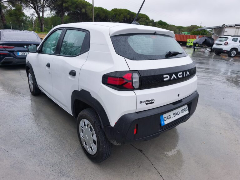 Dacia Spring Electric (2)