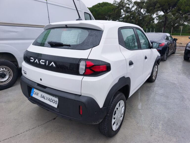 Dacia Spring Electric (5)