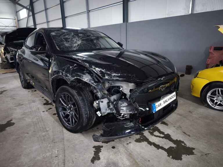 Ford Mustang Mach E (4)