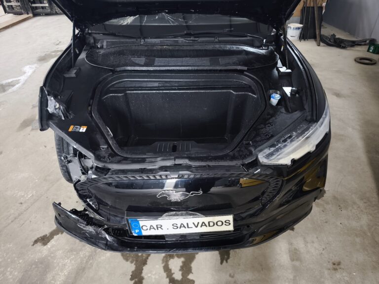 Ford Mustang Mach E (5)