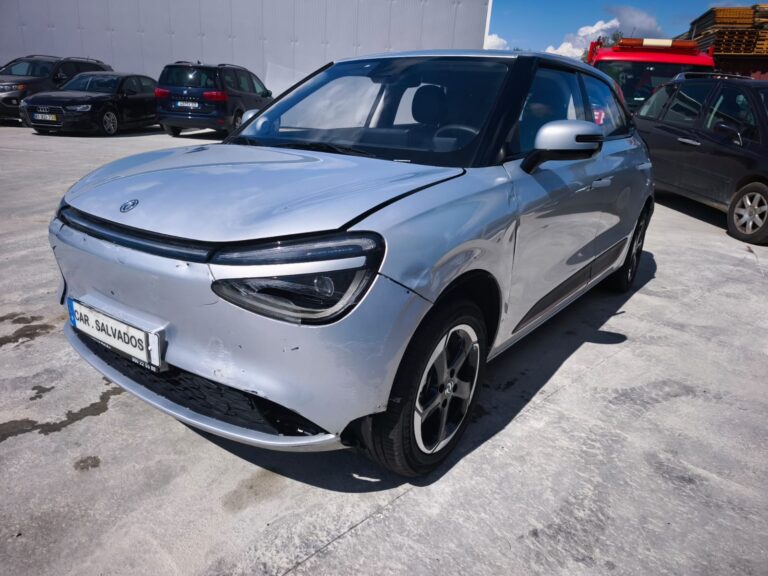 Dongfeng (1)