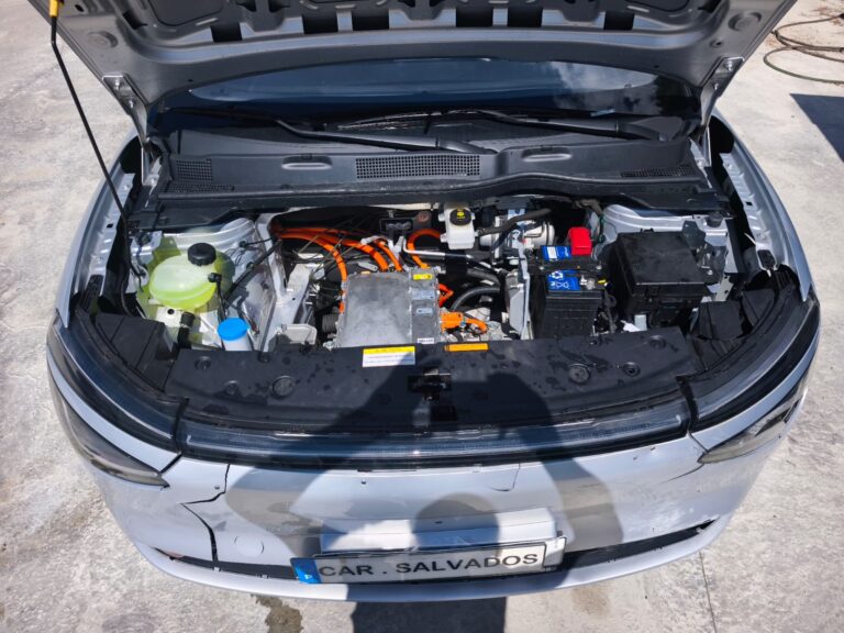 Dongfeng (10)