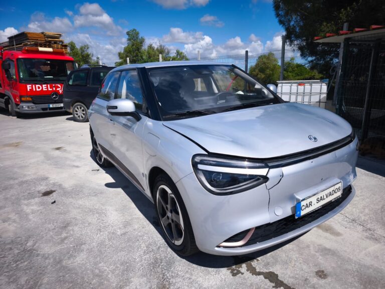 Dongfeng (11)