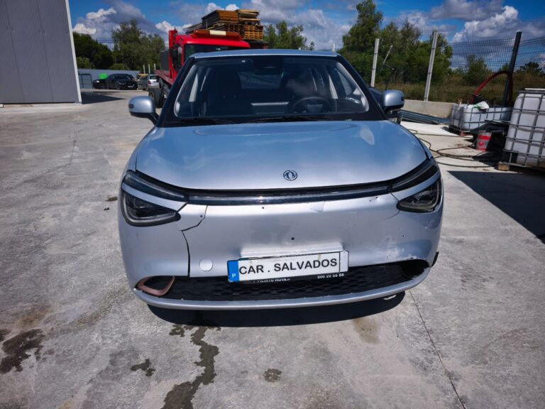 Dongfeng (12)