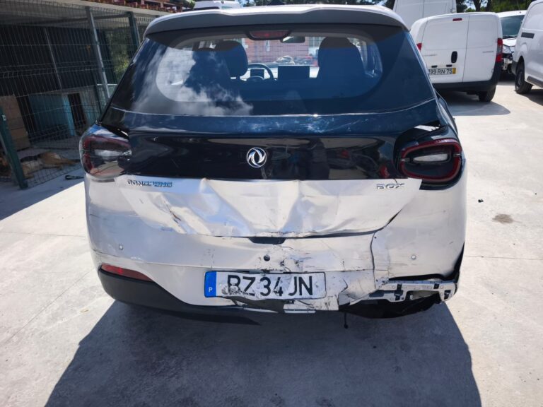 Dongfeng (3)