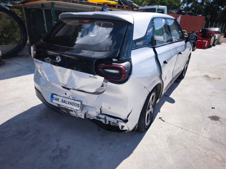 Dongfeng (7)