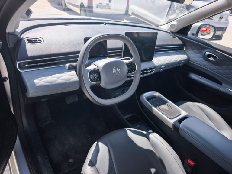 Dongfeng (8)