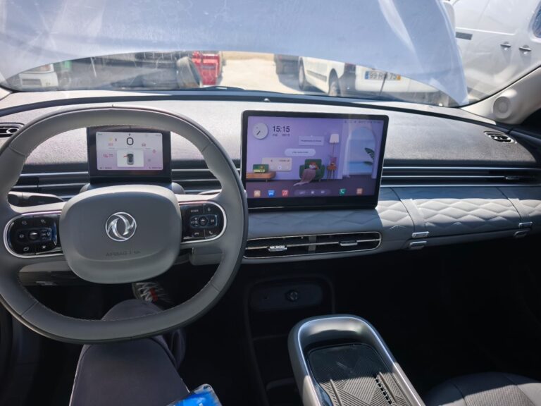 Dongfeng (9)