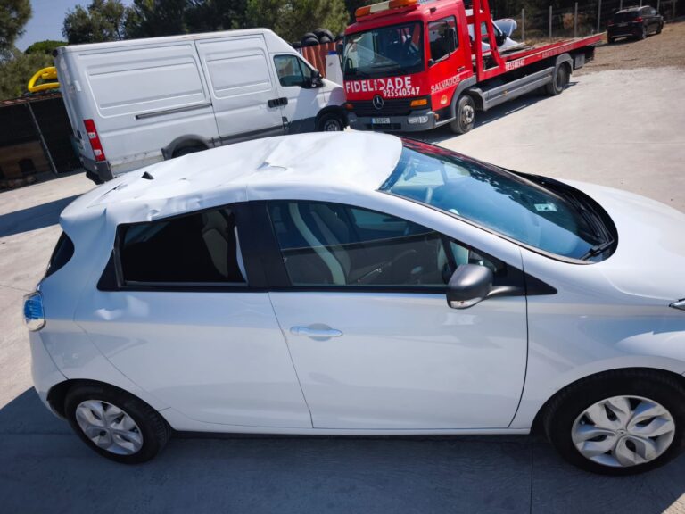 Renault Zoe Z.E. 42 kWh (3)