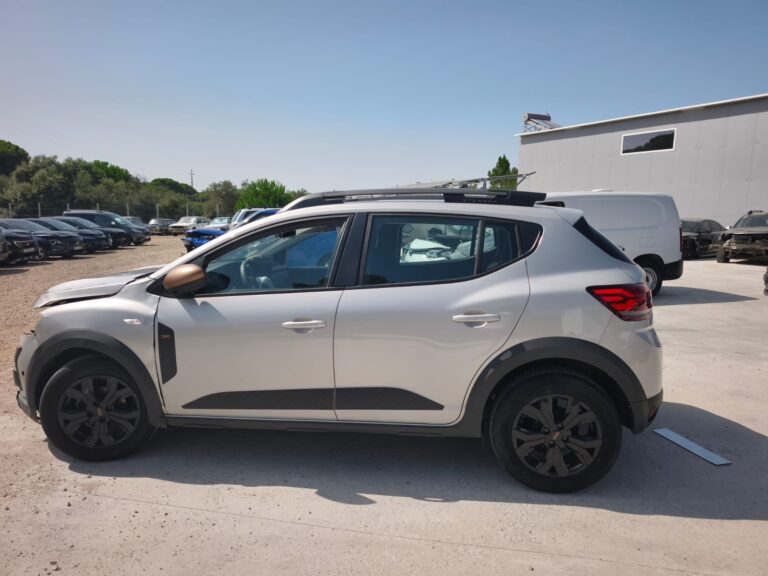 Sandero Stepway (1)