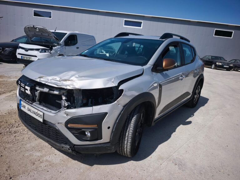 Sandero Stepway (10)