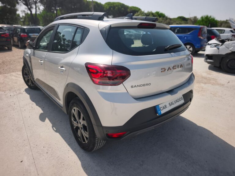 Sandero Stepway (4)
