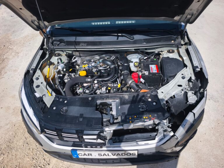 Sandero Stepway (6)