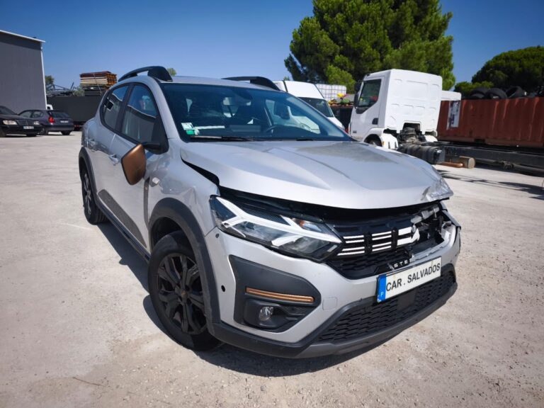 Sandero Stepway (9)