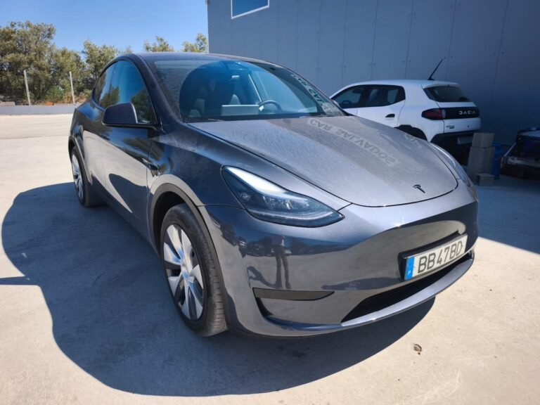 Tesla model y (1)