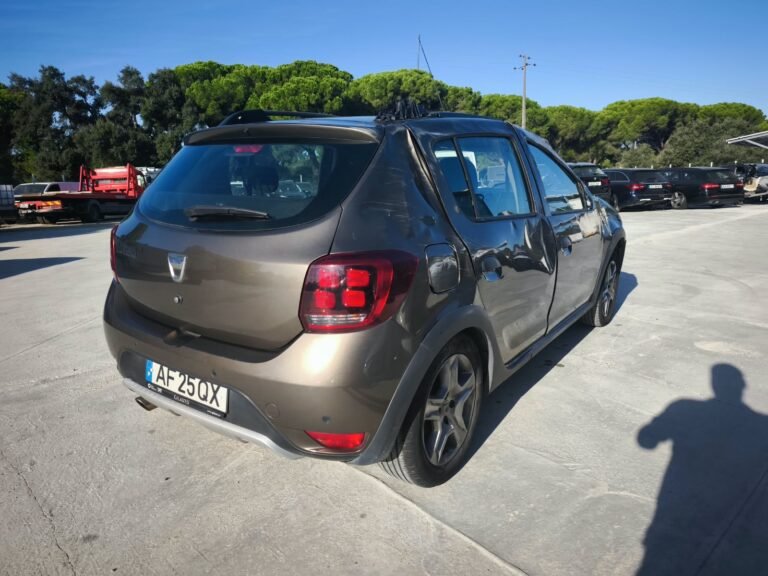 Dacia Sandero Stepway (10)