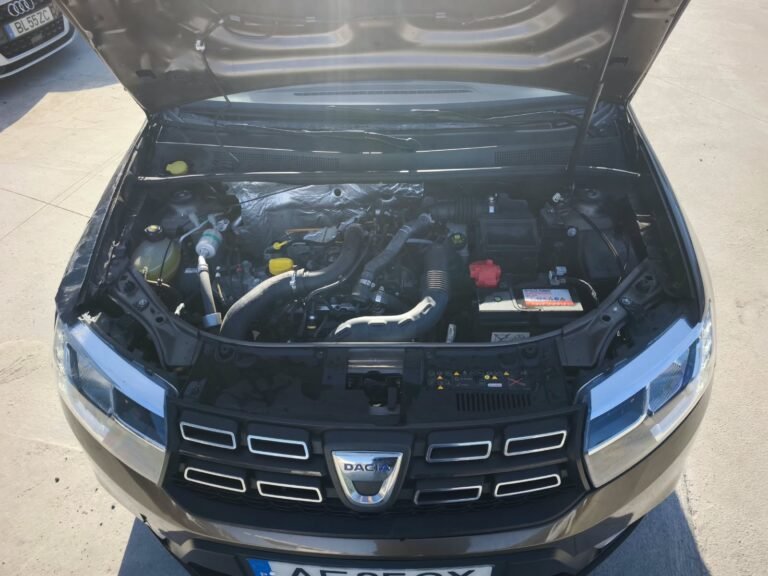 Dacia Sandero Stepway (3)
