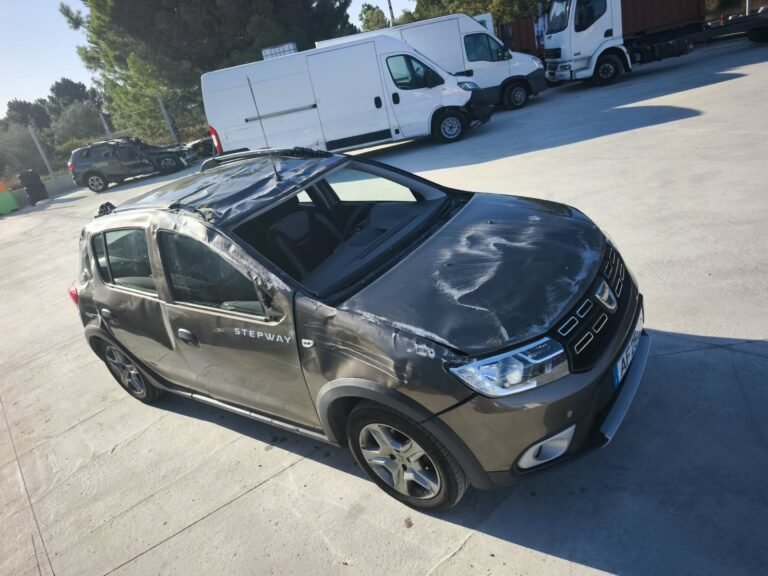 Dacia Sandero Stepway (7)