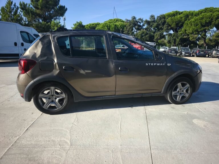 Dacia Sandero Stepway (9)