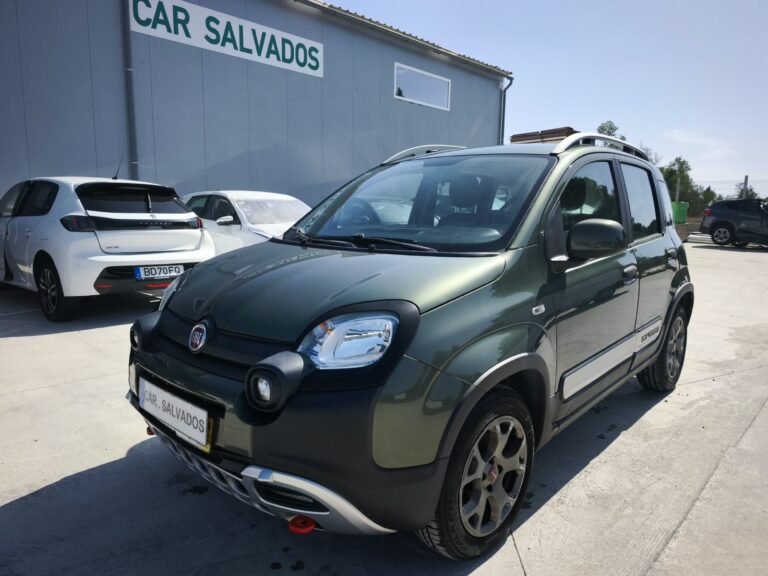 Fiat Panda Cross 1.2 2018 (3)