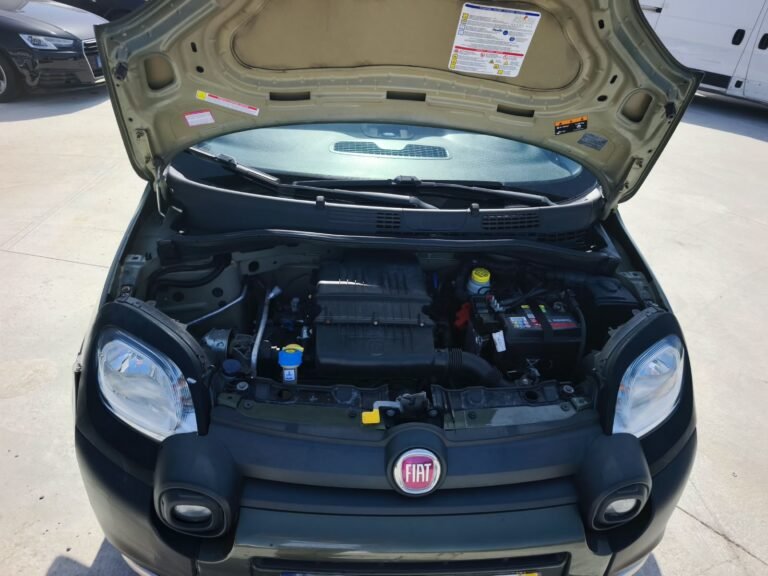 Fiat Panda Cross 1.2 2018 (4)