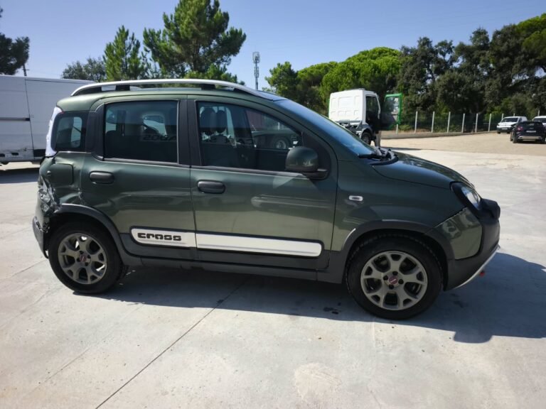 Fiat Panda Cross 1.2 2018 (5)