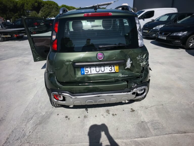 Fiat Panda Cross 1.2 2018 (6)